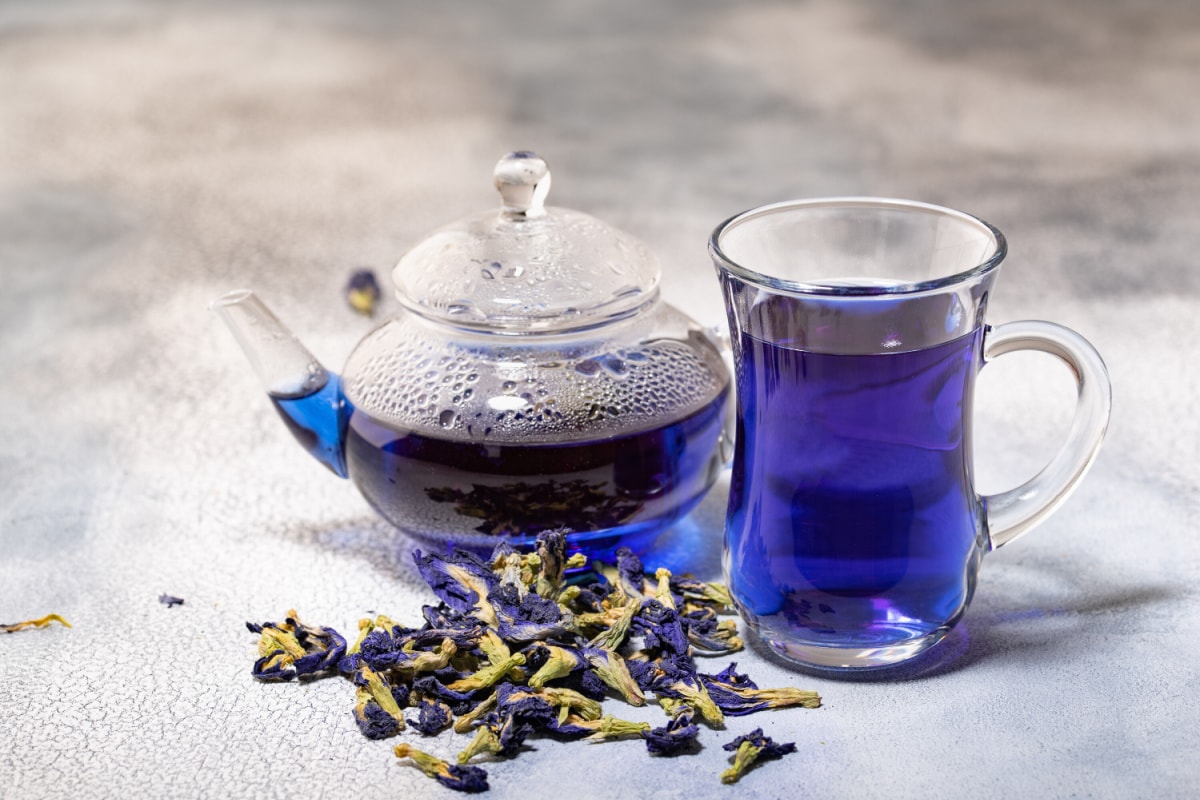 butterfly pea flowers and tea in glass cup and glass teapot.